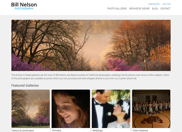 BNelsonPhotos.com screenshot